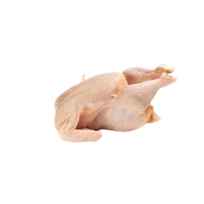 Høns