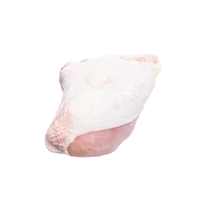 Kalkun